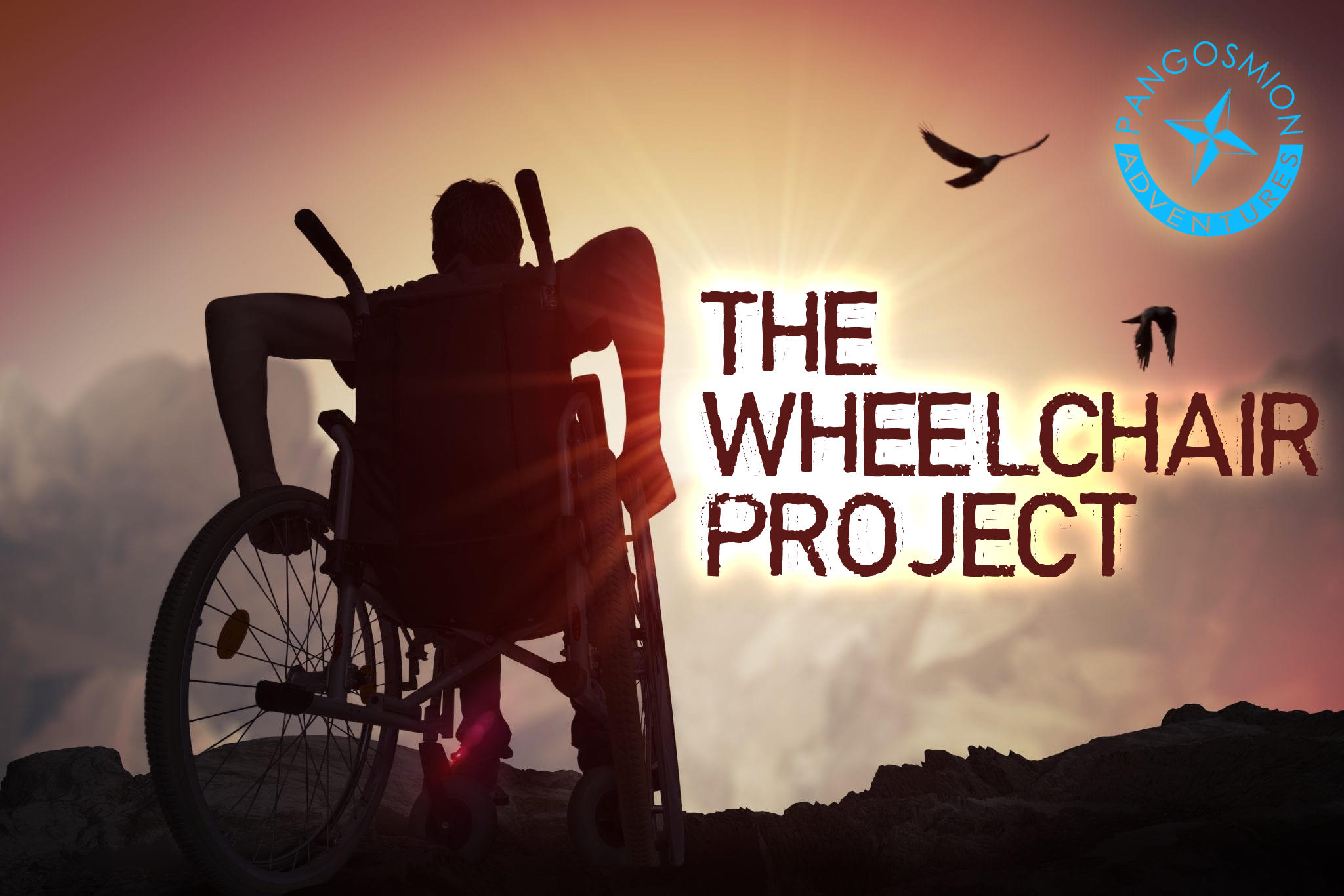 The Wheelchair Project